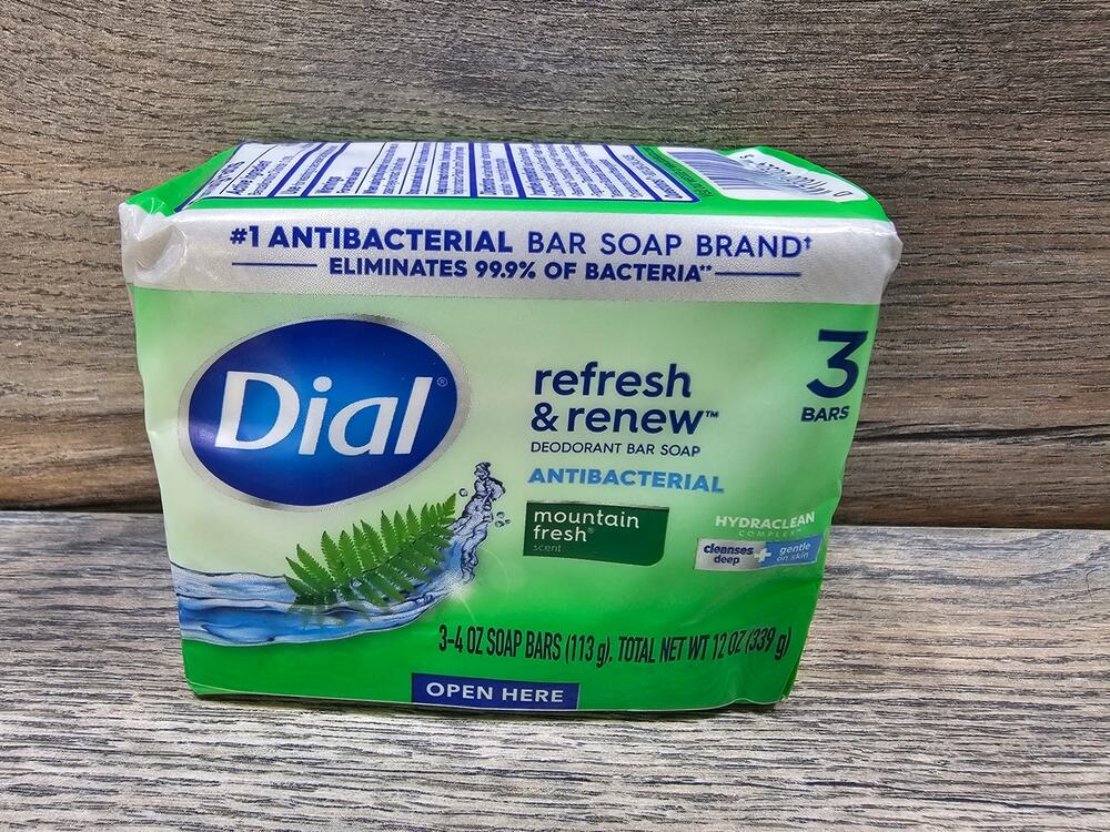Dial All Day Mountain Fresh Antibacterial Deodorant Soap Bar Pack of 3